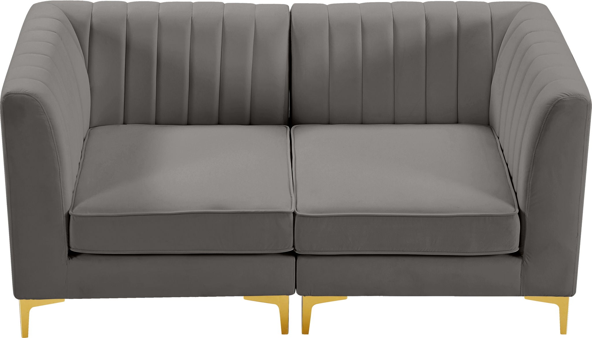 Alina - 2 Piece Modular Sectional