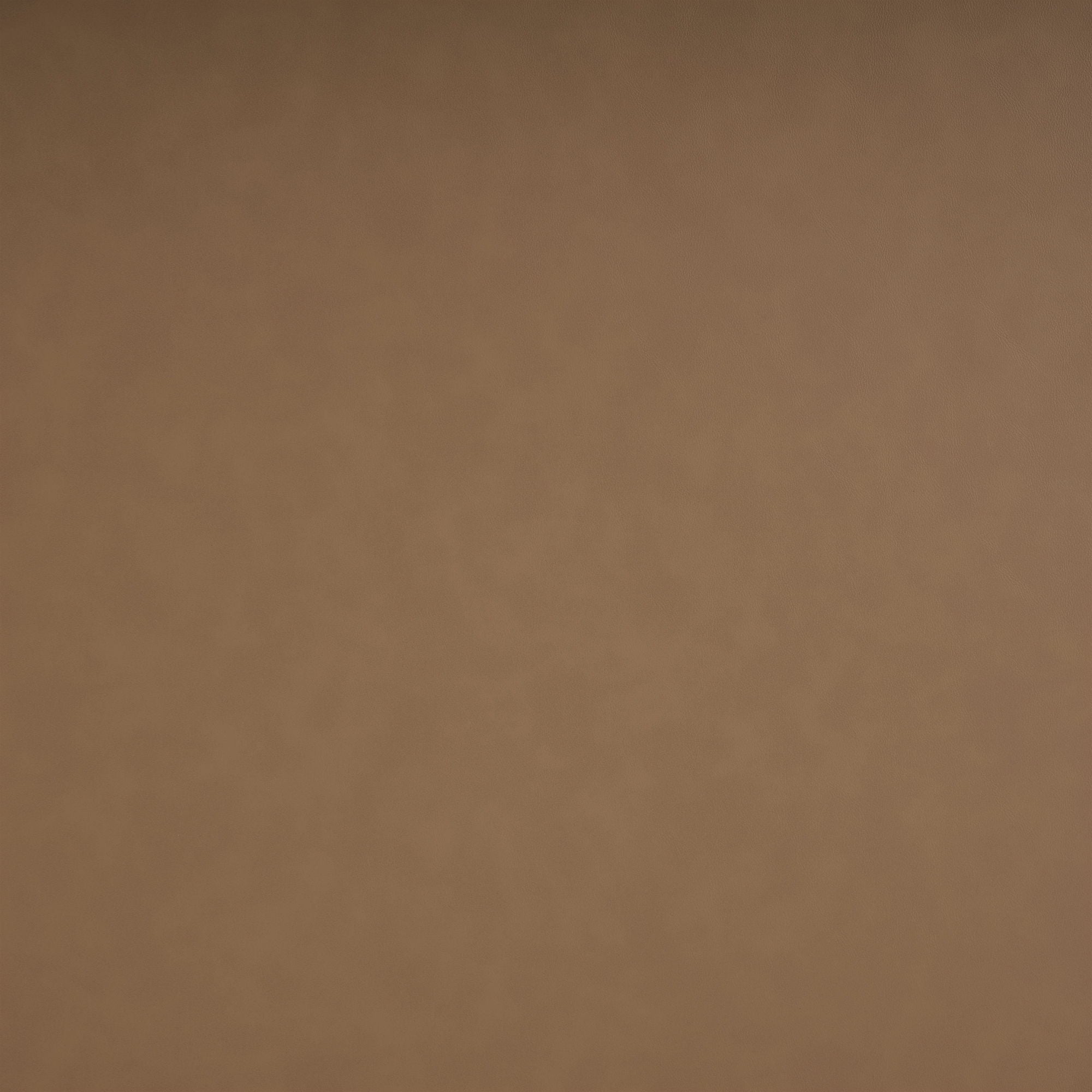 Everett - Vegan Leather Upholstered Chair