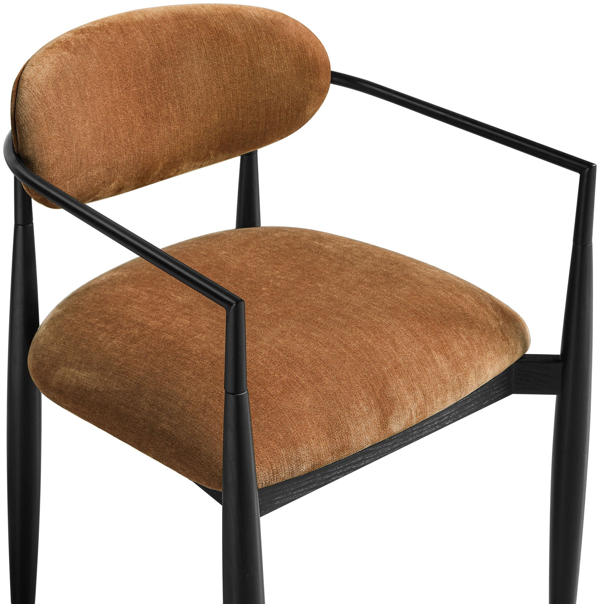 Riccio - Fabric Dining Arm Chair (Set of 2) - Black Frame