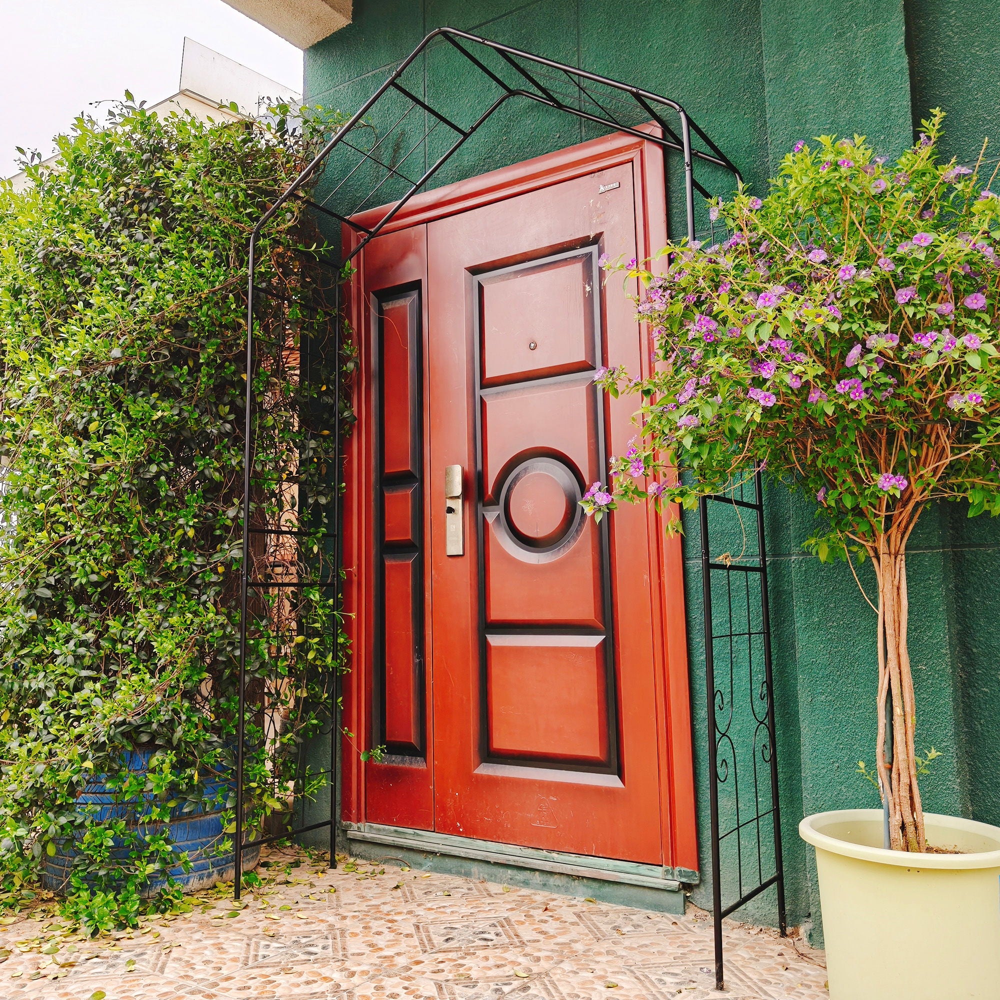 Garden Arch, Climbing Plants Support Outdoor - Black