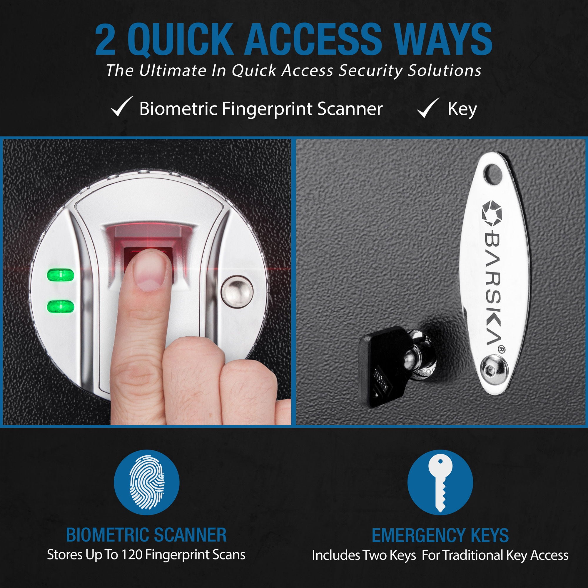 Biometric Rifle Safe