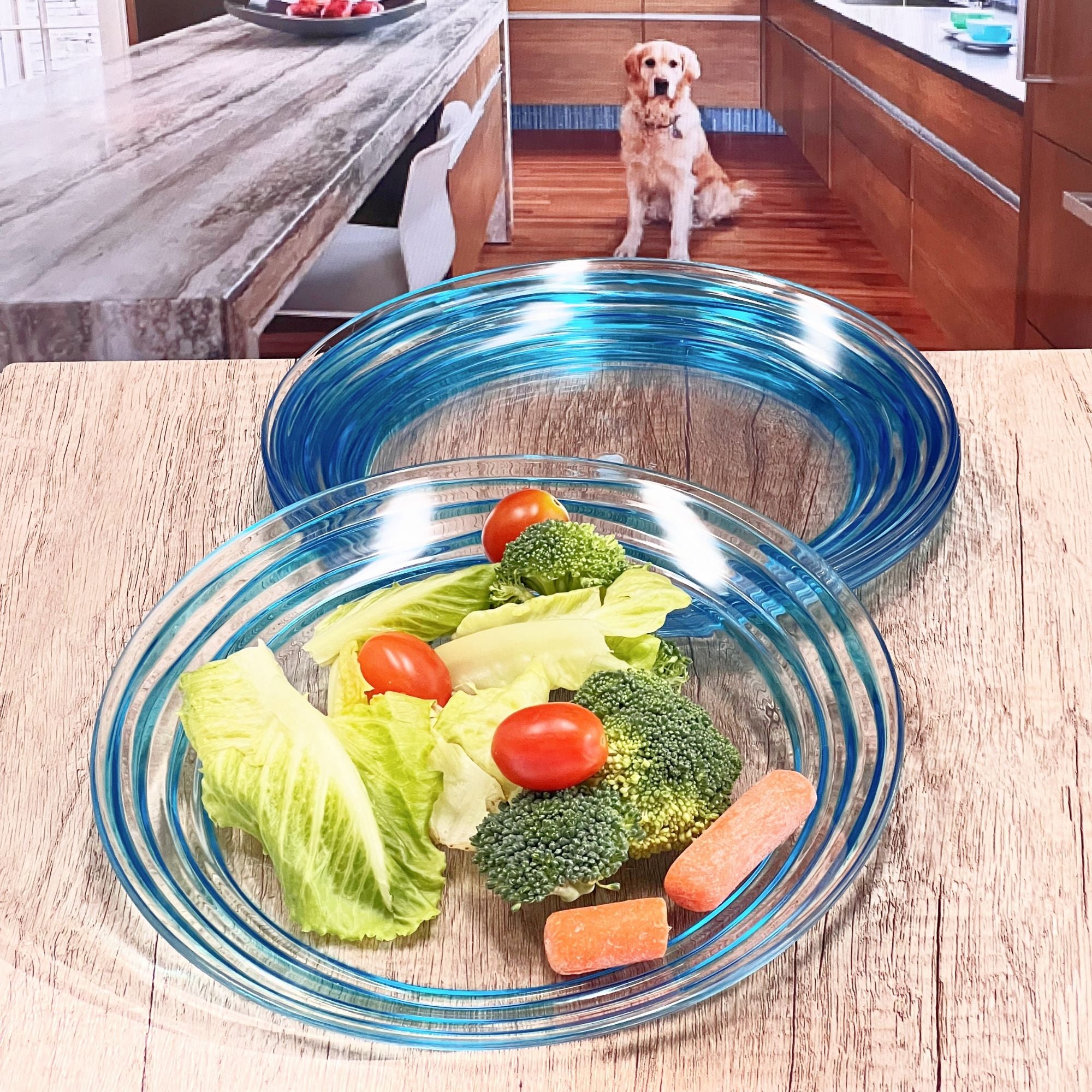 Designer Swirl Acrylic Dinner Plates (Set of 4)