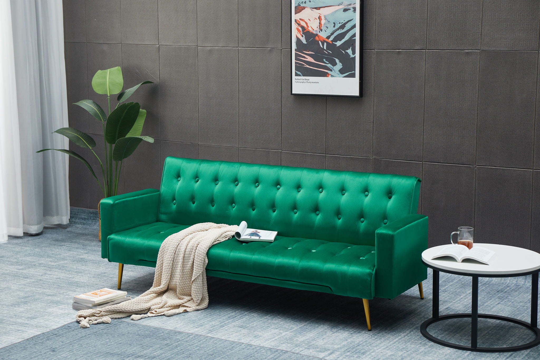 Comfort Compact Design Sofa Bed