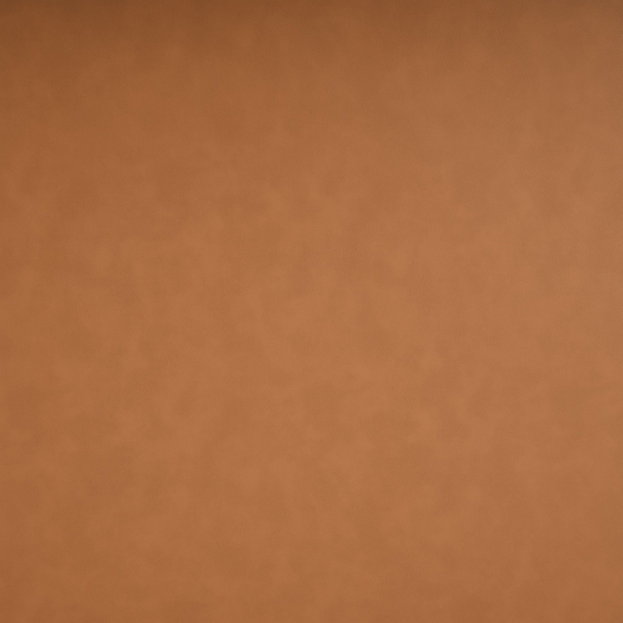 Everett - Vegan Leather Upholstered Chair