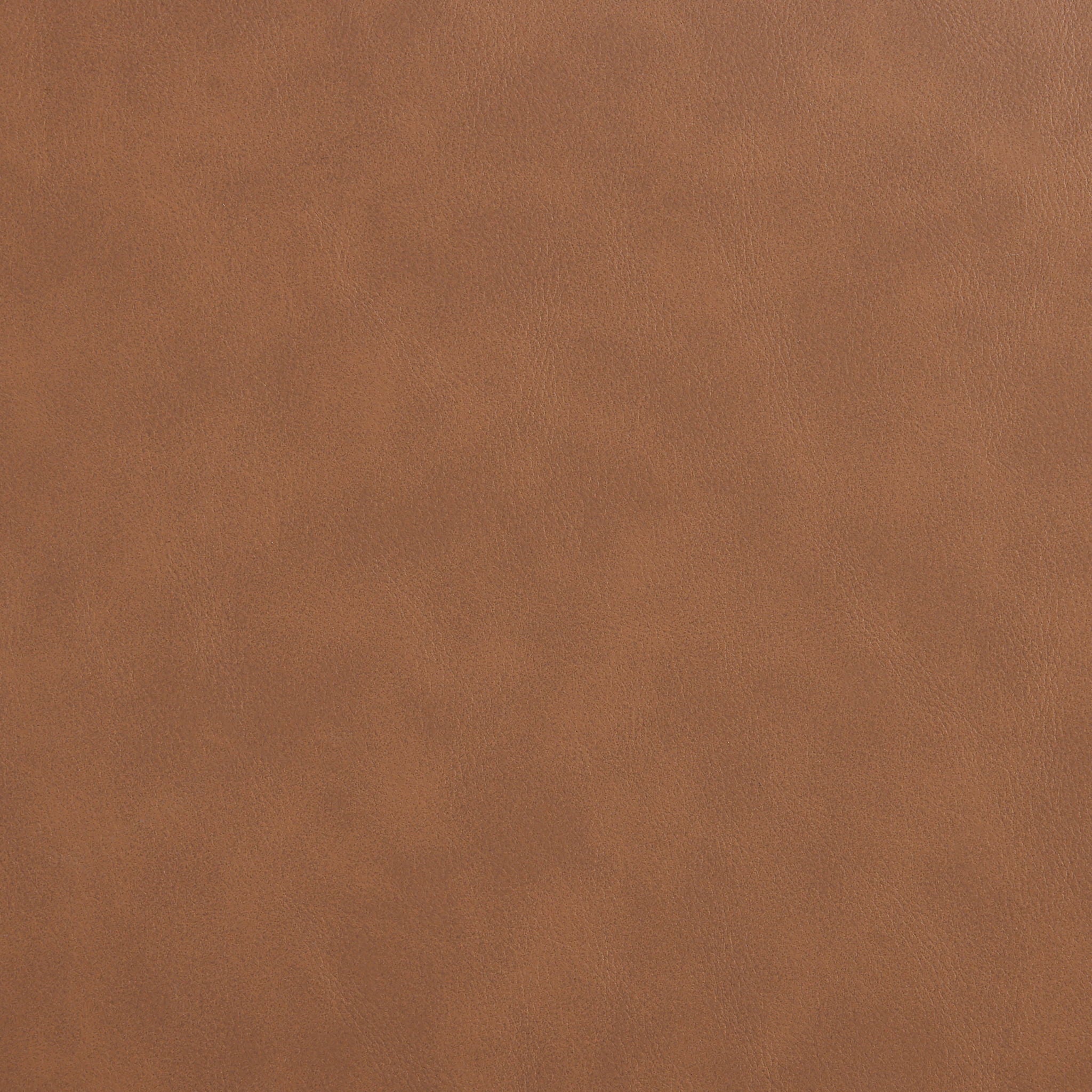 Navo - Faux Leather Dining Chair