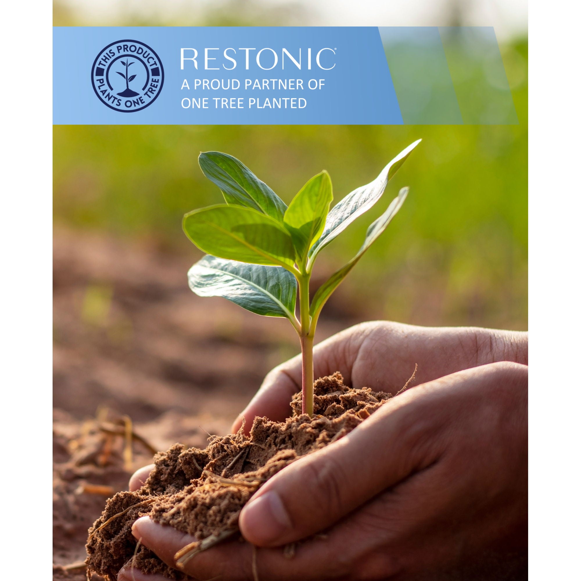 Comfort Care - 15" Euro Top Hybrid Mattress, Plush Comfort