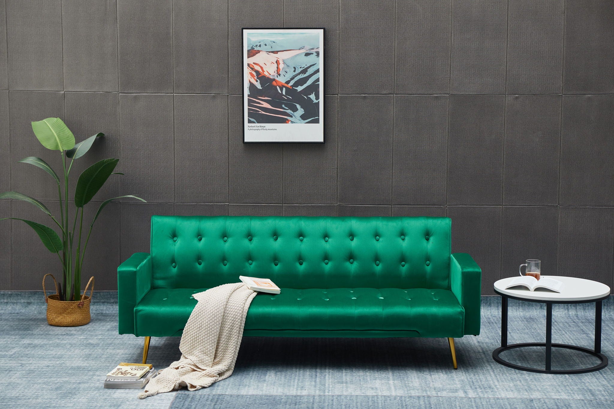 Comfort Compact Design Sofa Bed