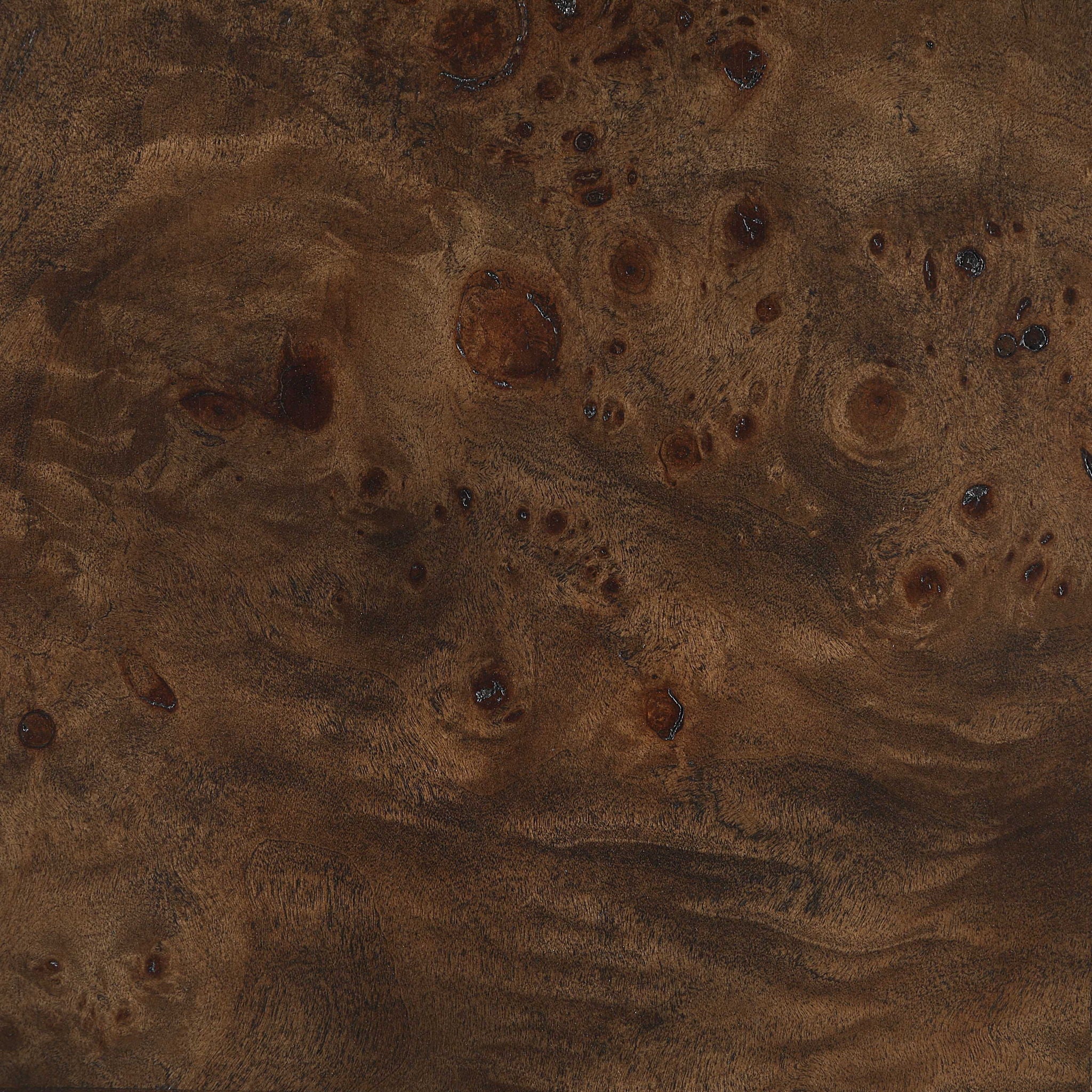 Vassa - Burl Veneer Coffee Table