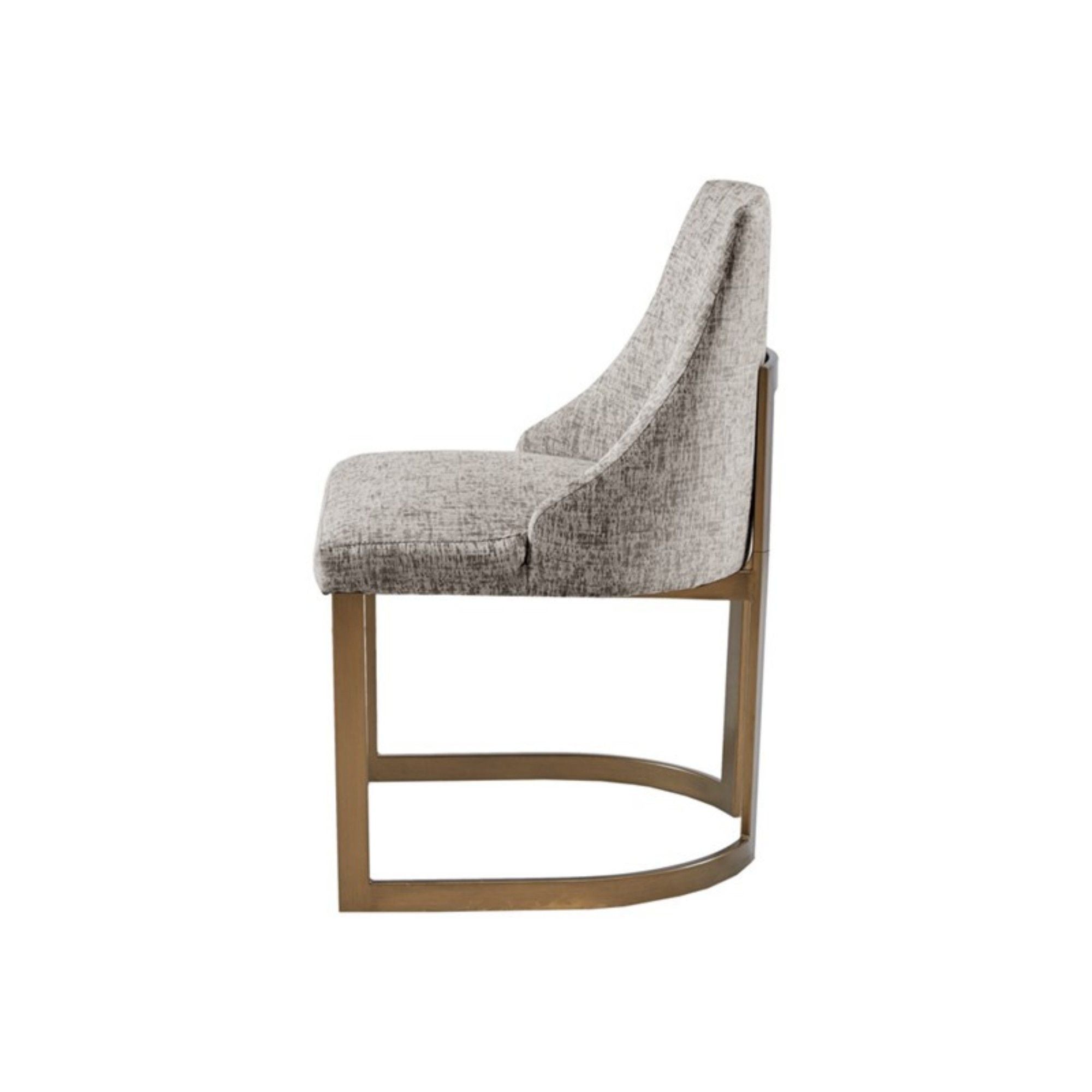 Contemporary Modern Accent Dining Chairs (Set of 2)