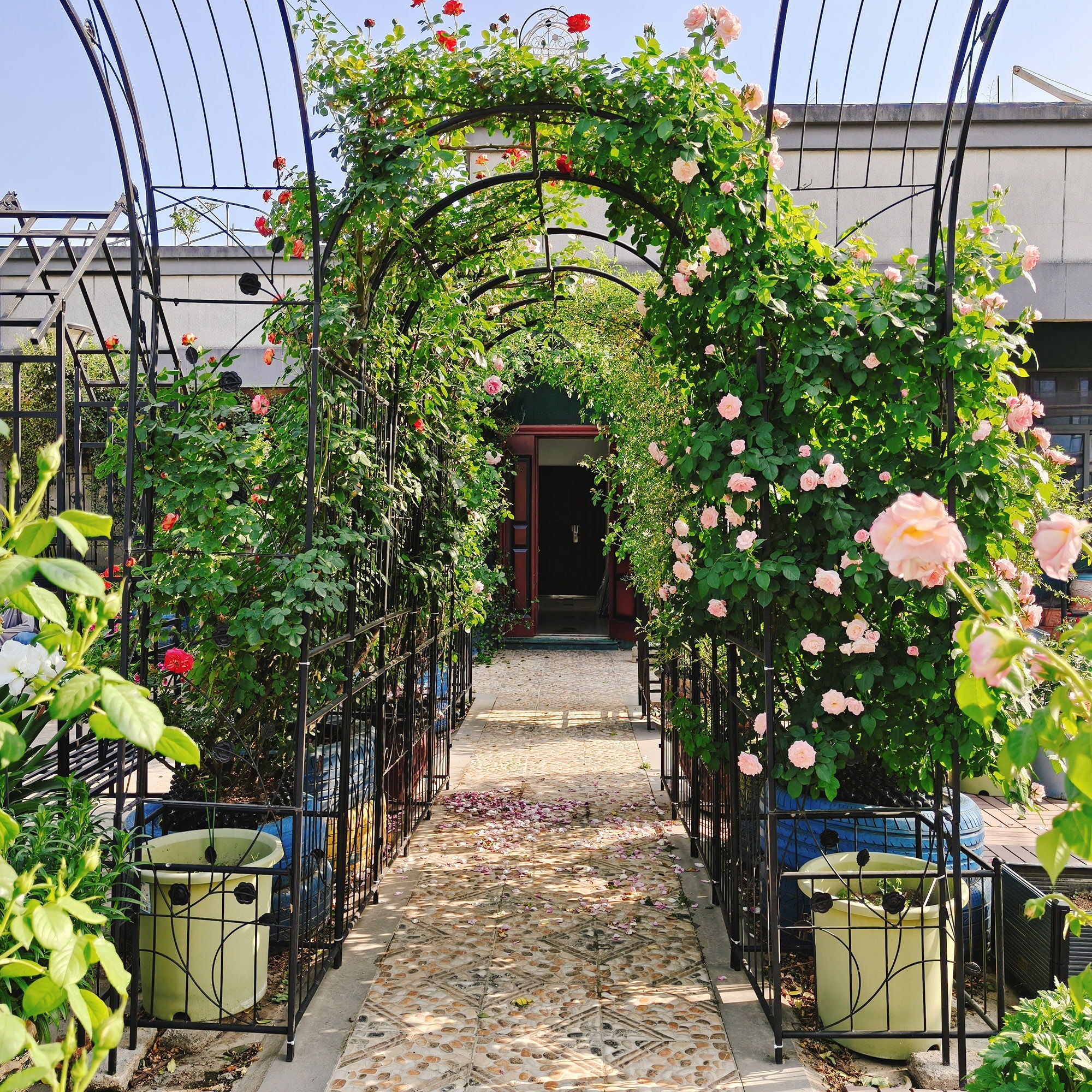 Metal Garden Arch With Two Plant Stands Wide High Climbing Plants Support Rose Arch Outdoor - Black