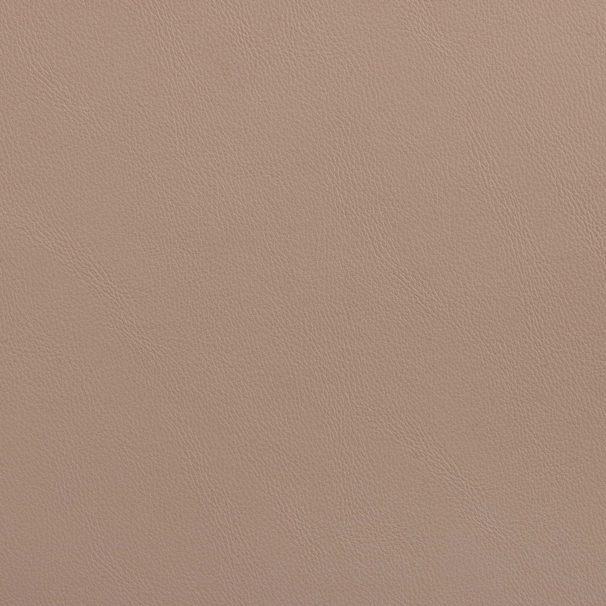 Vanda - Vegan Leather Upholstered Dining Chair - Tan