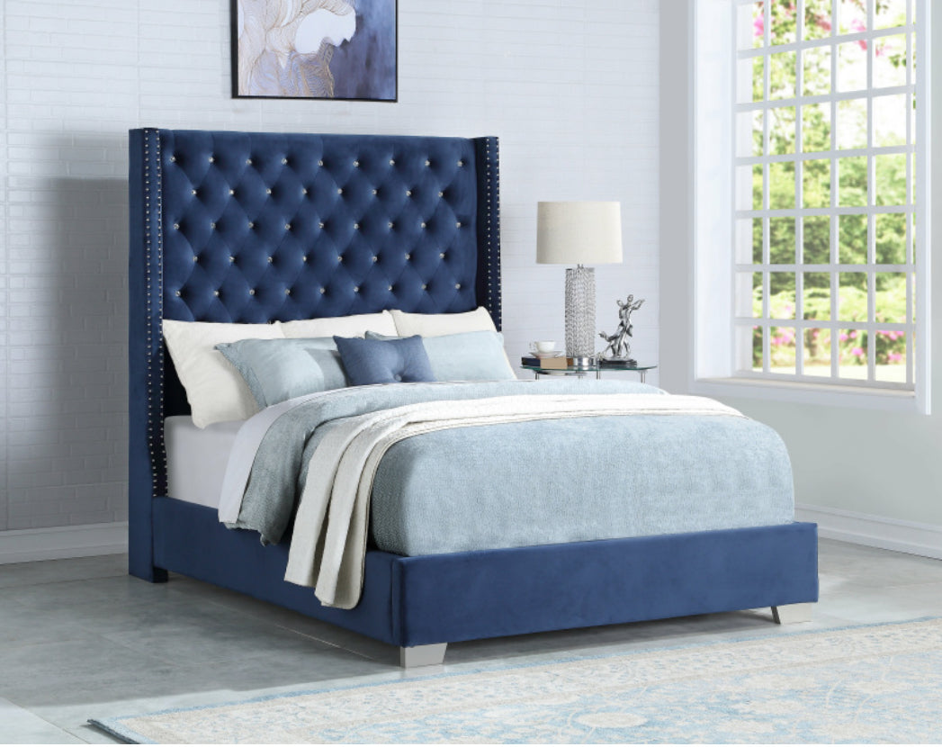 Lotus Navy 3 ROOM PACKAGE