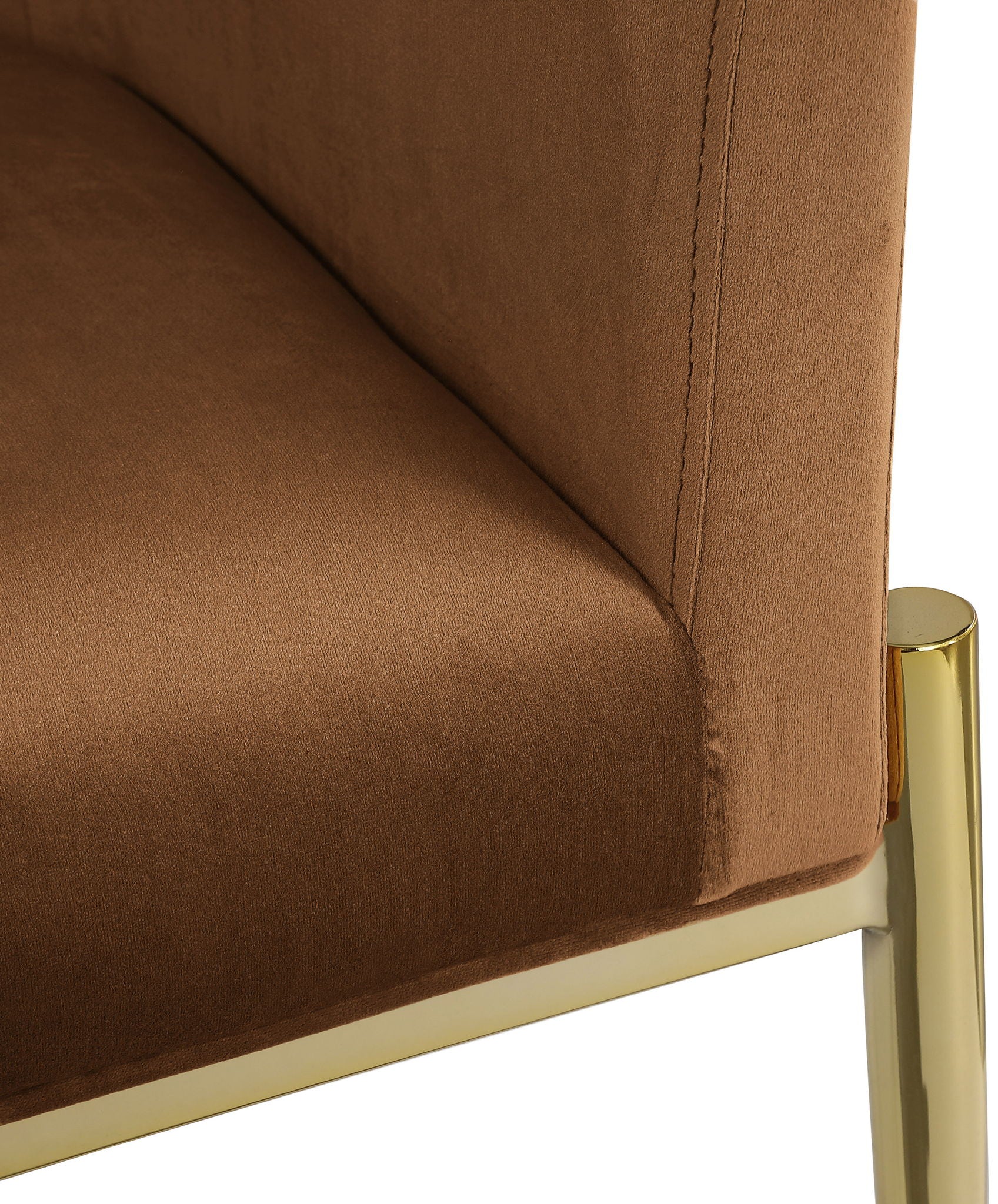 Xavier - Dining Chair with Gold Legs