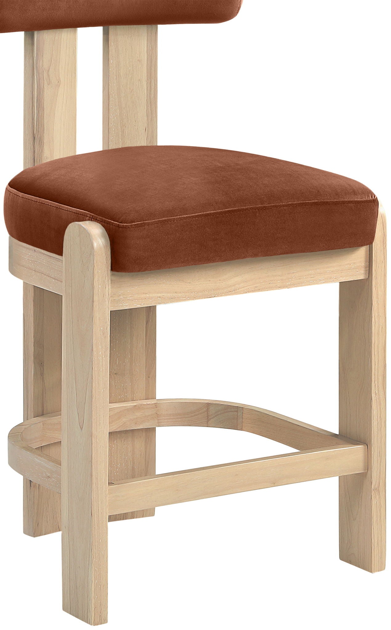 Arienzo - Velvet Performance Fabric Upholstered Counter Stool (Set of 2)