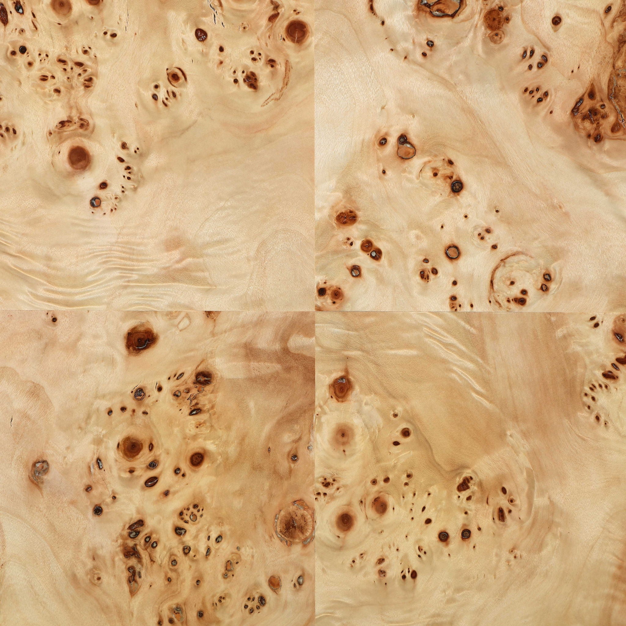 Vassa - Burl Veneer Coffee Table