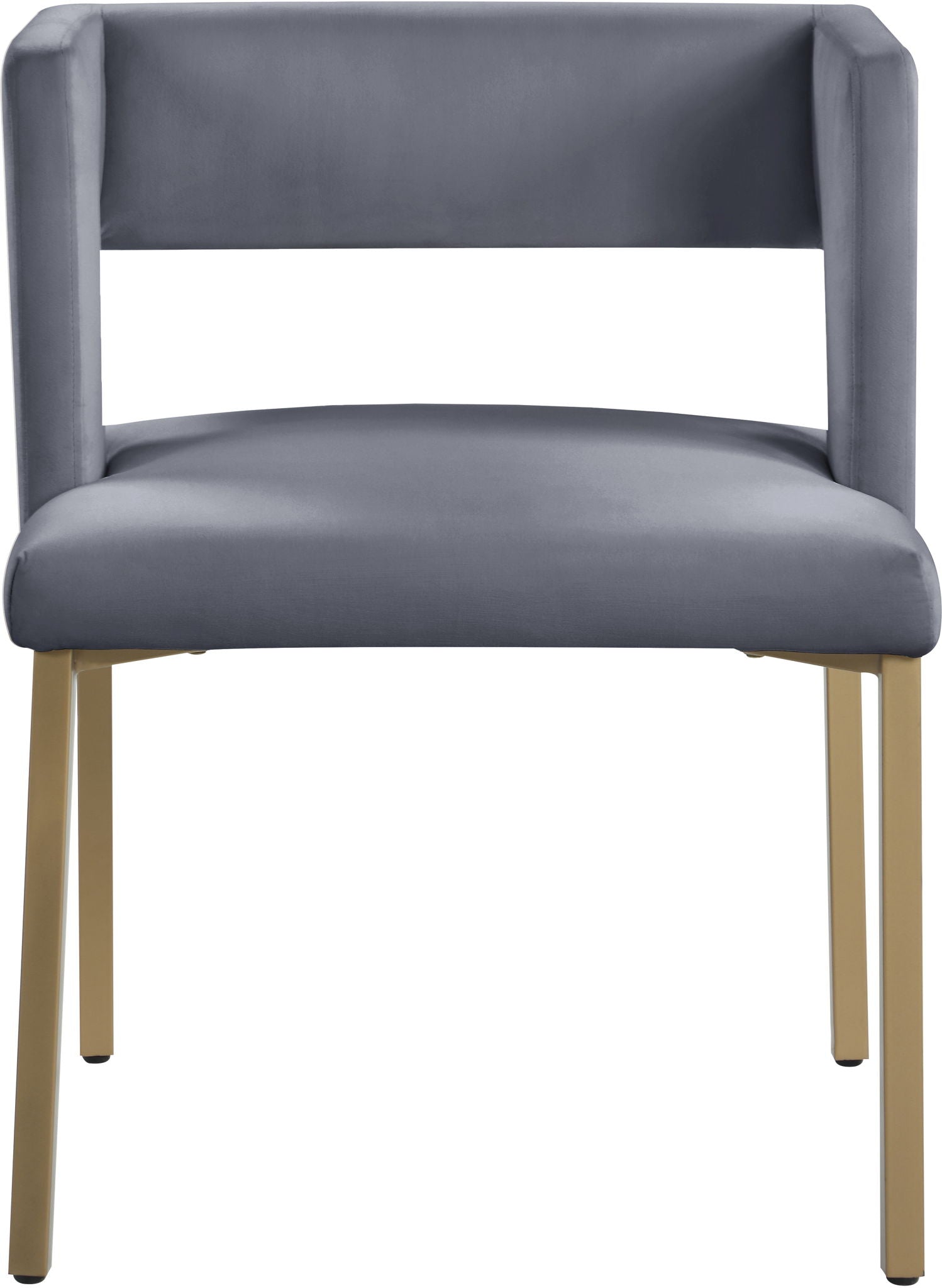 Caleb - Dining Chair with Gold Legs (Set of 2)